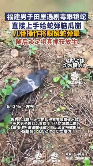 手弹眼镜蛇七寸！LOL赛场“蛇皮走位”新版本刺客或成野区毒牙